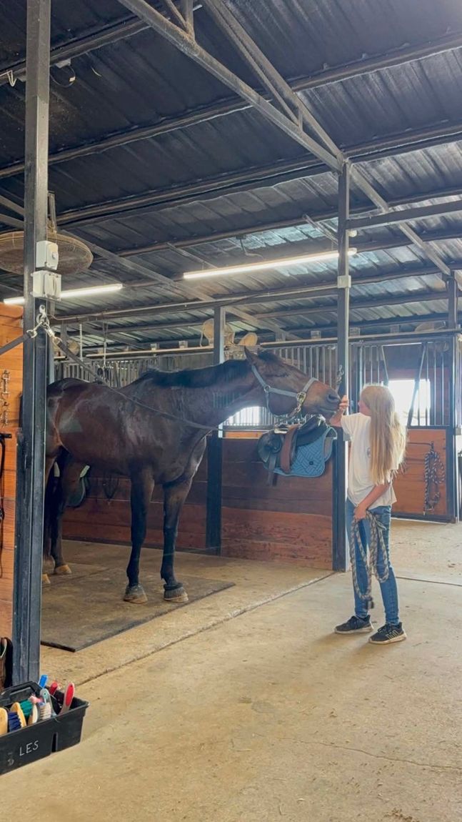 Inside the Obsidian Shield barn